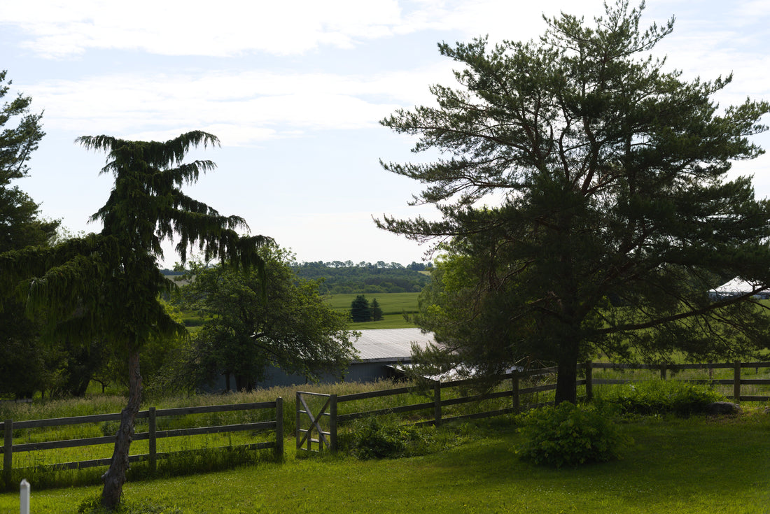 Finding Your Nature Space