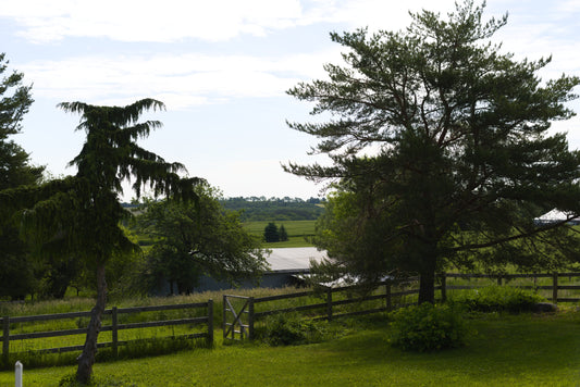 Finding Your Nature Space