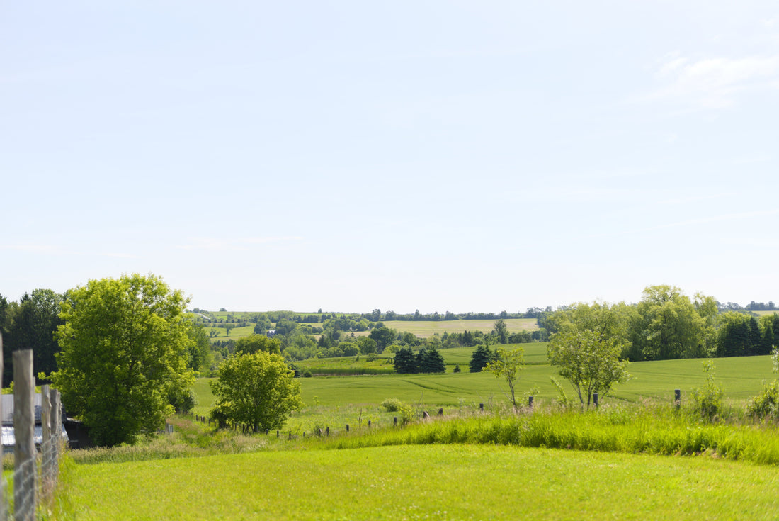 The Average Person Only Spends 4 Minutes in Natural Spaces Everday