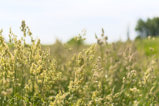 Why I’m Writing This Blog