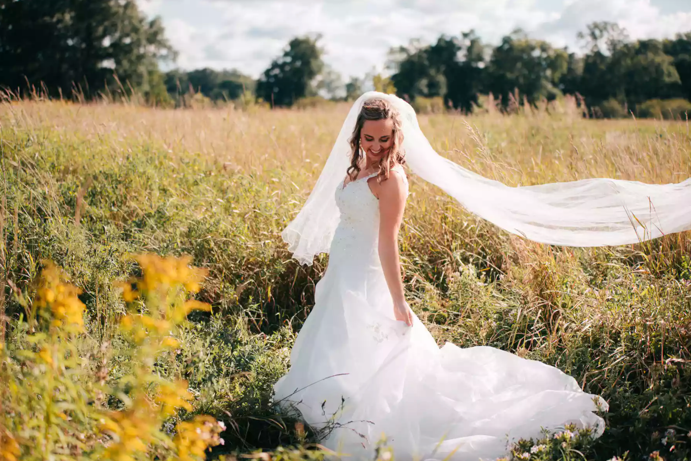 Price Comparison of Toronto Wedding Photographers